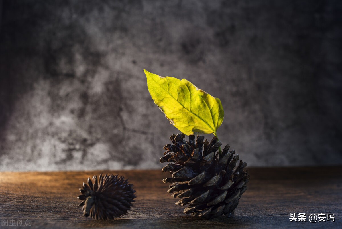 月薪3000负债20万怎么理财,月薪3000负债20万如何规划还款