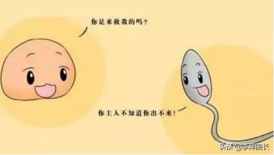 卵子长不大就排出怎么回事,卵子长大没破的原因