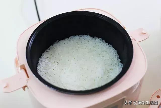 小米电饭煲哪一款煮饭速度快,电饭锅测评迷你