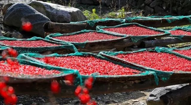 西安自驾秦岭秋色最好的地方,西安自驾一日游的绝佳去处秦岭