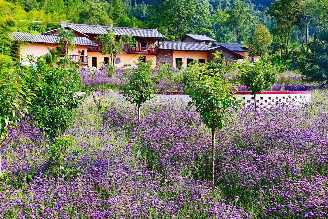 大美宣汉清明出游,大美宣汉完整视频