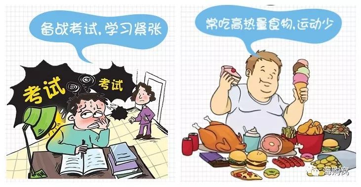 伟博天然深海鱼油礼盒,好物便宜鱼油