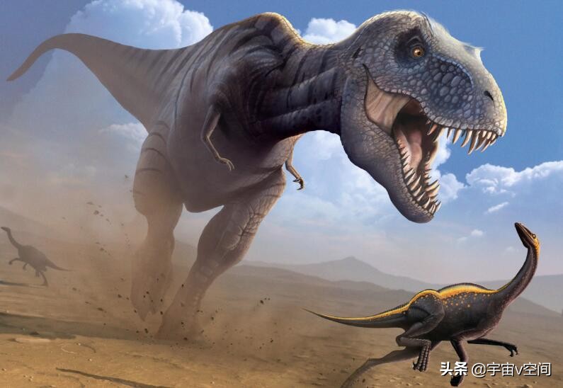 霸王龙是白垩纪晚期才出现的,目前霸王龙有多少具化石