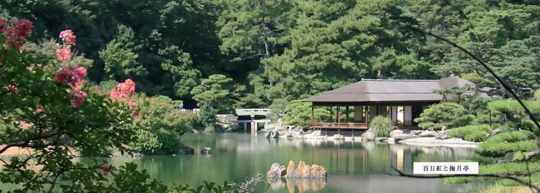 在日本坐火车是什么感觉,在日本坐火车是什么体验