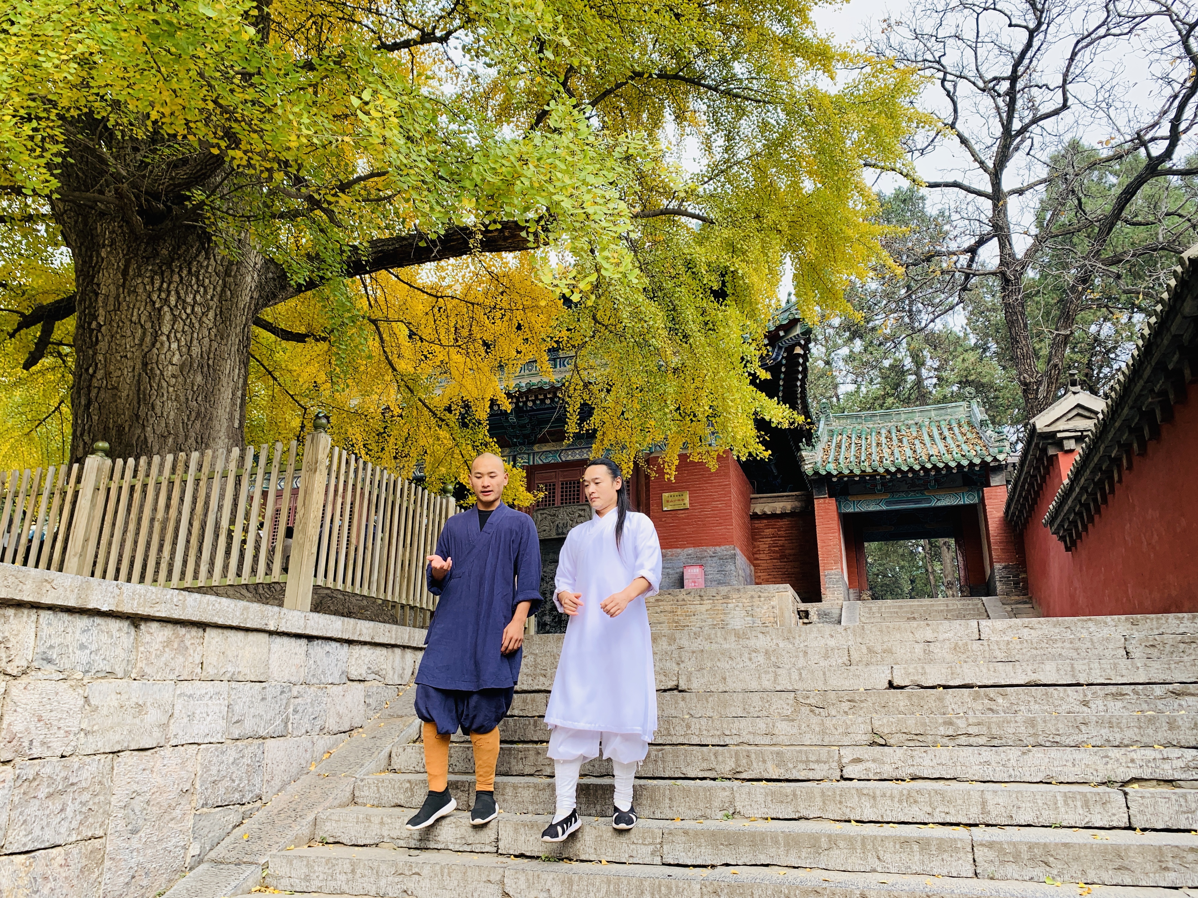 走进少林那扇无形的大门,少林一叶一菩提