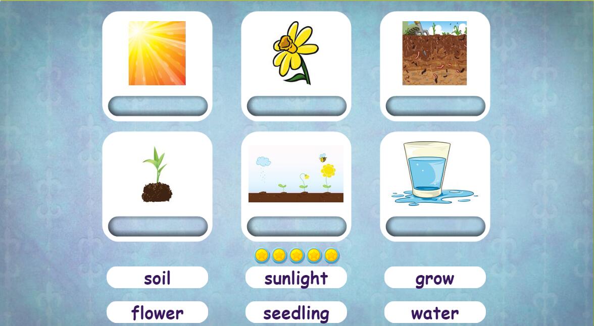 让2-13岁孩子停不下来的Readingeggs英语在线学习是什么?