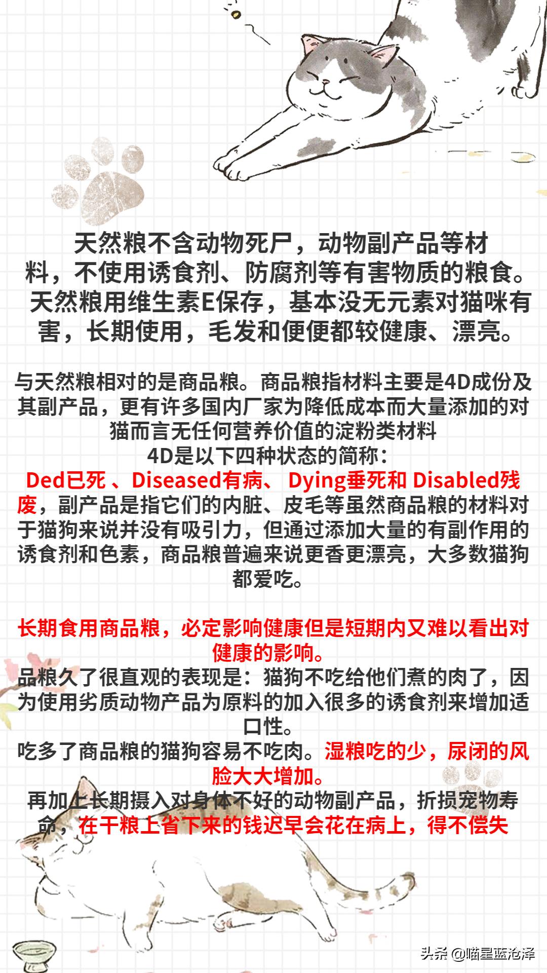 幼猫不知道之前吃什么猫粮怎么办,幼猫该吃什么东西