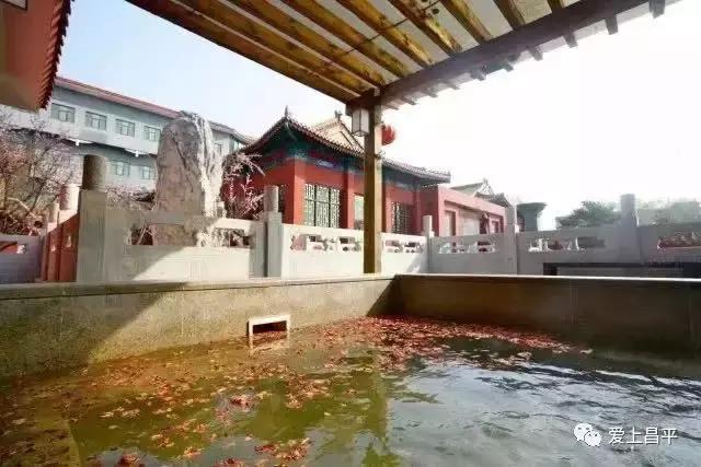 冷冬来袭,寒潮来袭快收下这份过冬锦囊吧