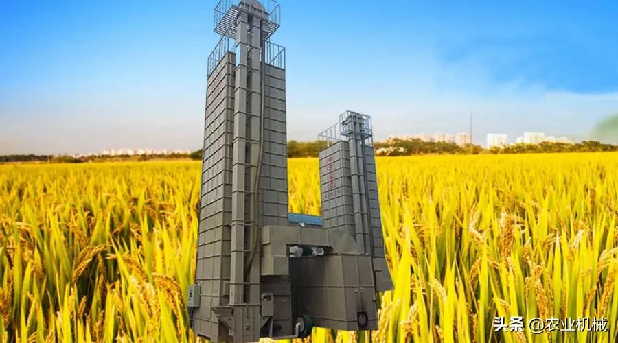 小麦制种烘干机设备,小麦烘干机种粮大户