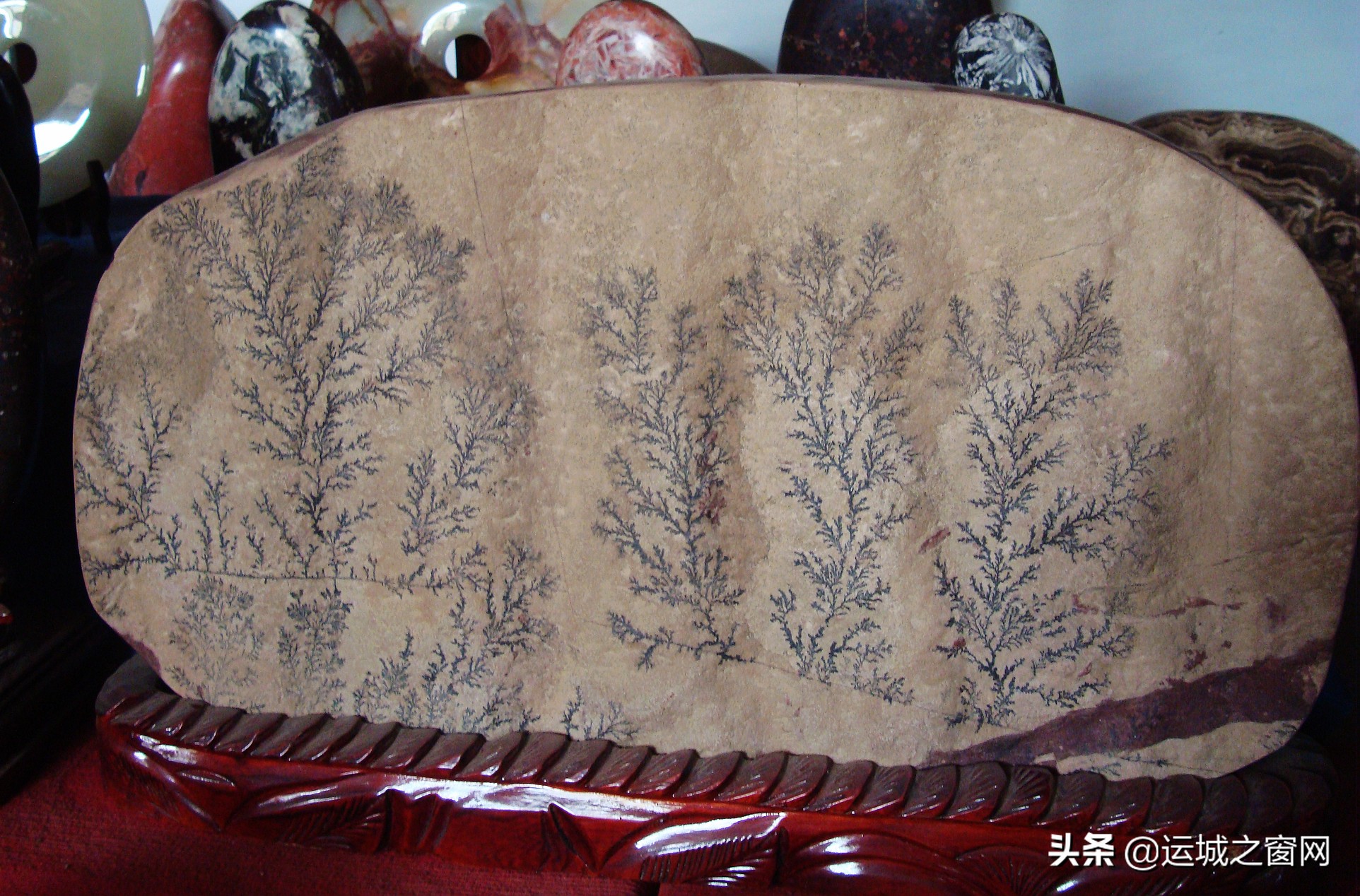 鍨ｆ洸榛勬渤鏂囧寲,鍨ｆ洸榛勬渤姘戞棌鏂囧寲