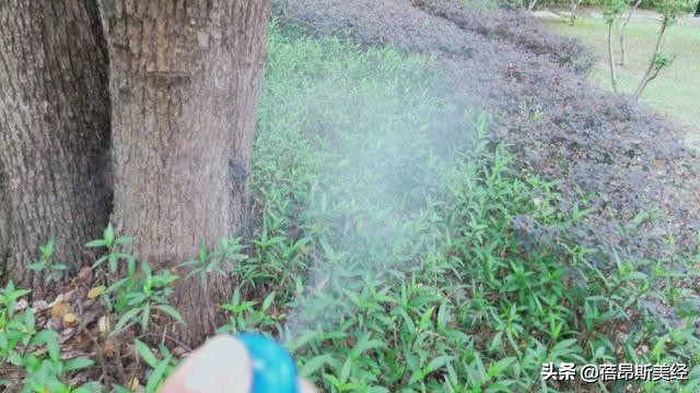 5款网红防晒横向评测,你是追老大牌还是小鲜肉?