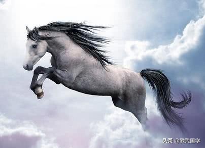 形容马的古诗词名句,关于写马的古诗词或诗句