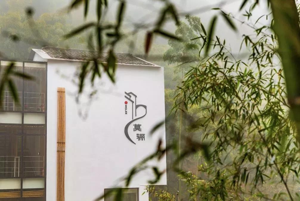 莫干山竹海民宿十佳排名,莫干山竹林深处7家温泉民宿