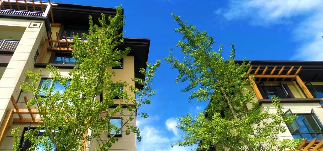 浩创匠心19载百万补贴惠客户19套补贴房限时抢购