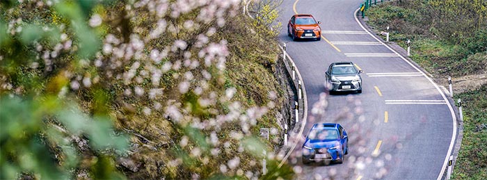 时空机发光尾翼，10个气囊，2.0L混动+四驱，这SUV卖33.3万贵吗？