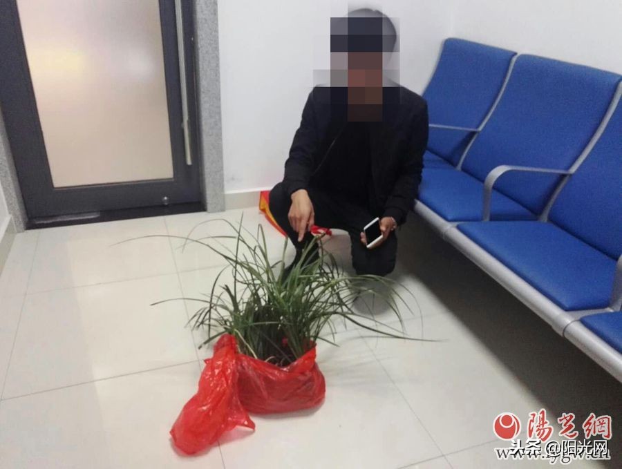 西成高铁开通一年安康铁警查获野生兰草近千株