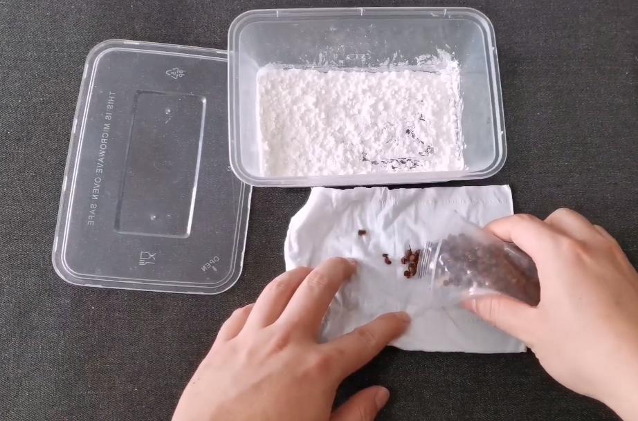 玉米面和面粉夏天怎么保存不长虫,家里面粉怎么保存