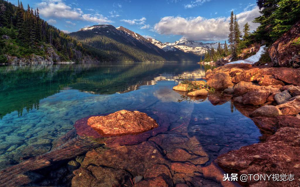 佳能尼康!新手选单反相机,推荐这几款机型,你get到了吗