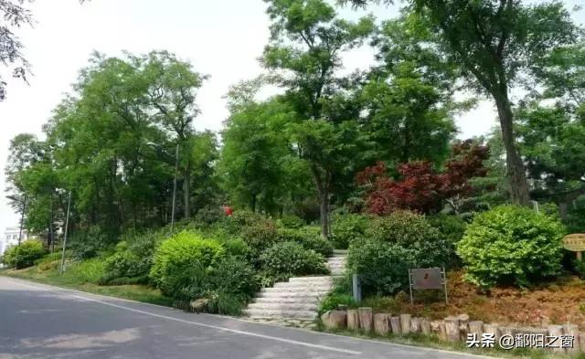 去威海之后建议去哪,去威海玩只想花5000