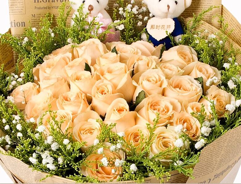 各色玫瑰不同花语表白千万别送错了哦！「凌源名品」