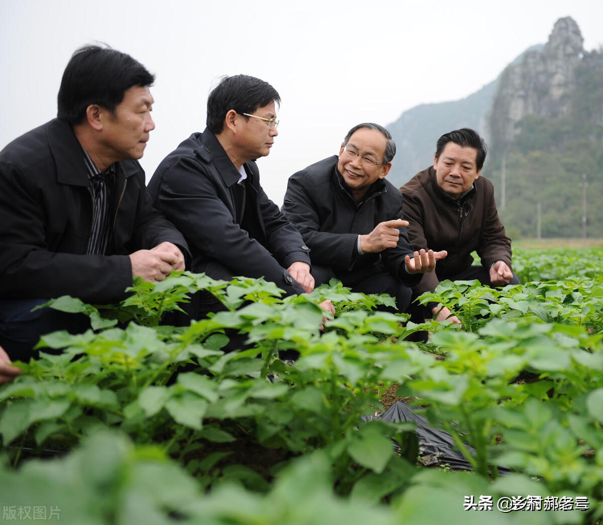 农技推广站和农业执法大队哪个好,农村农业局综合执法大队