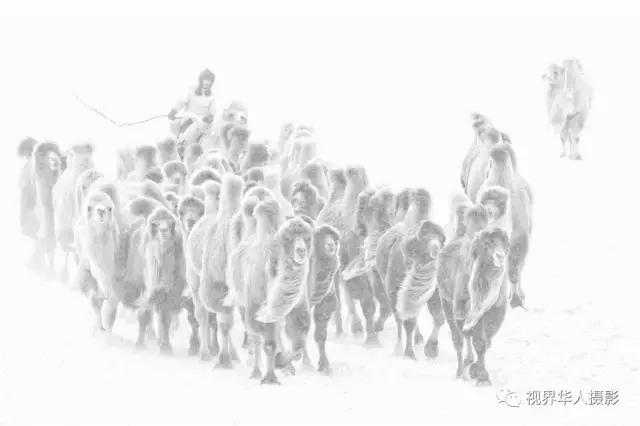 大美中国主题摄影作品征集启事,第五届华人摄影展入选名单