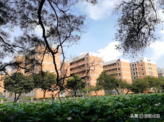 广西大学有哪些标志性的景色,走进广西美景