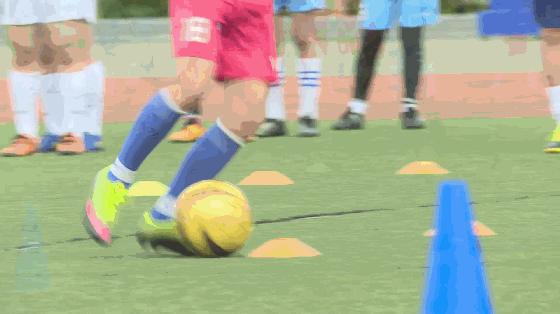 蒙自中小学综合实践活动基地,蒙自中小学综合实践活动