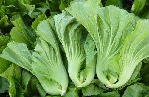 什么蔬菜补钙有利于小孩长高,6-12岁儿童营养长高蔬菜