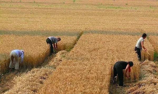 五叔和谦谦最新视频,五叔突然去世