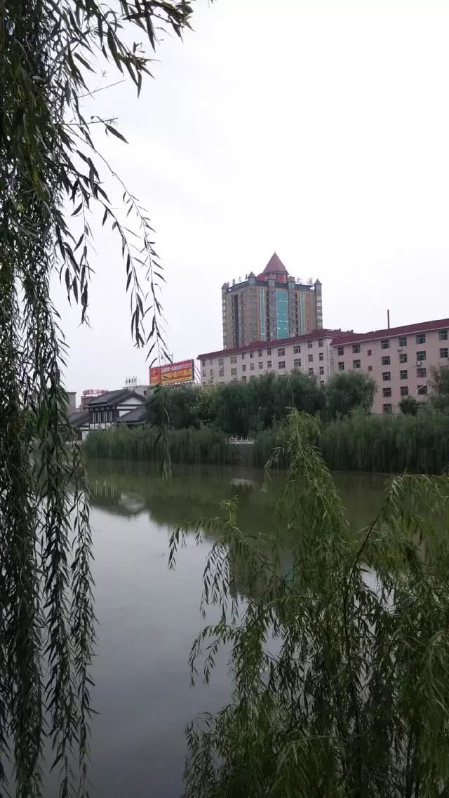 如果在洛南遇见你