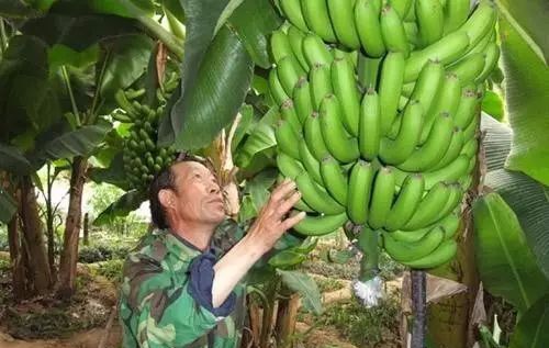 全新疆著名的特产,大新疆有啥特产