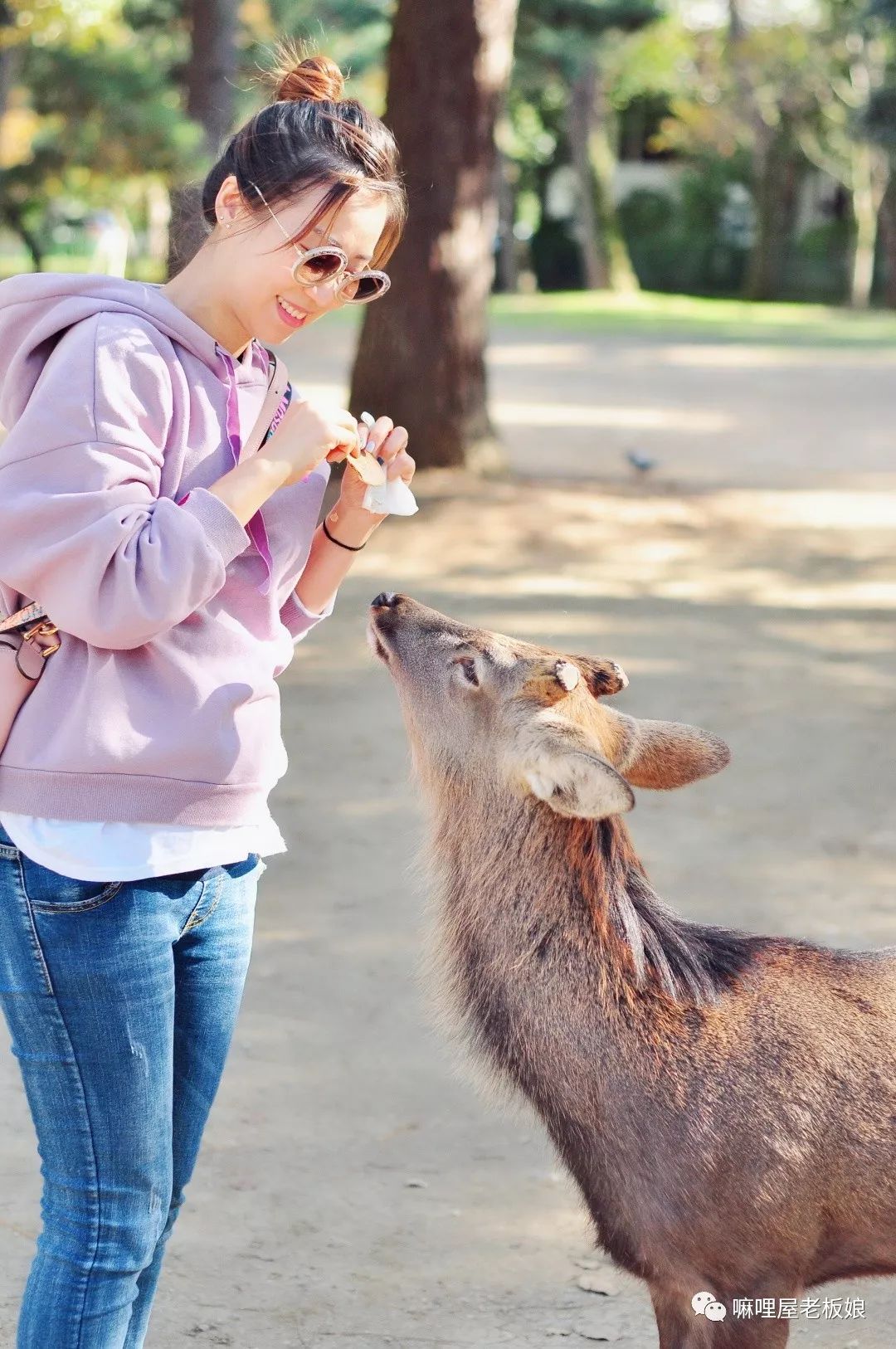 京都和大阪地理位置,京都奈良大阪位置