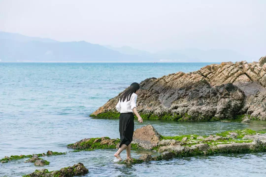 大鹏杨梅坑景区,杨梅坑旅游景点