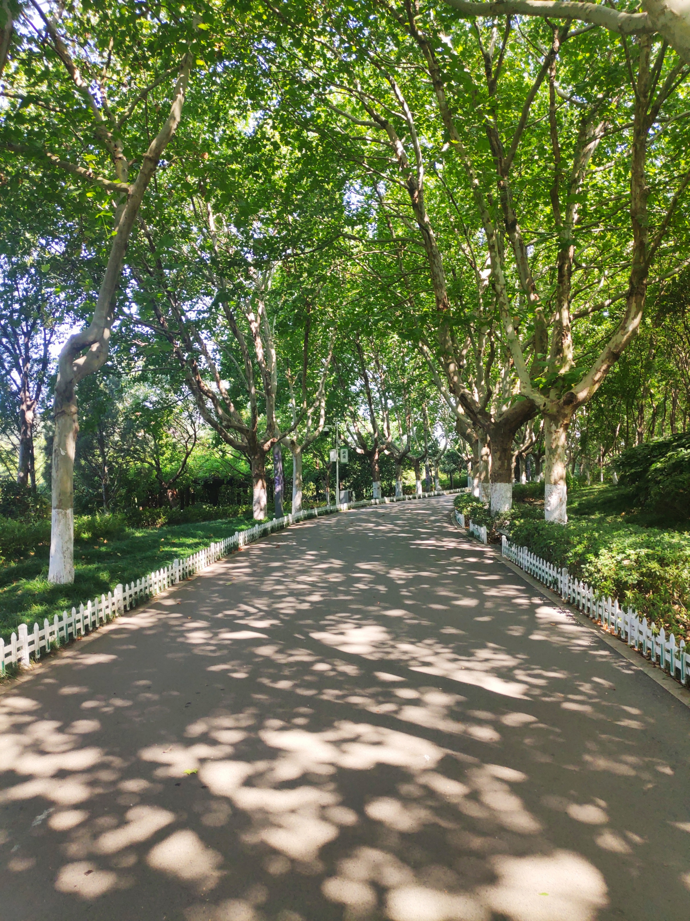 徐州彭祖楼和彭祖园,彭祖园石雕