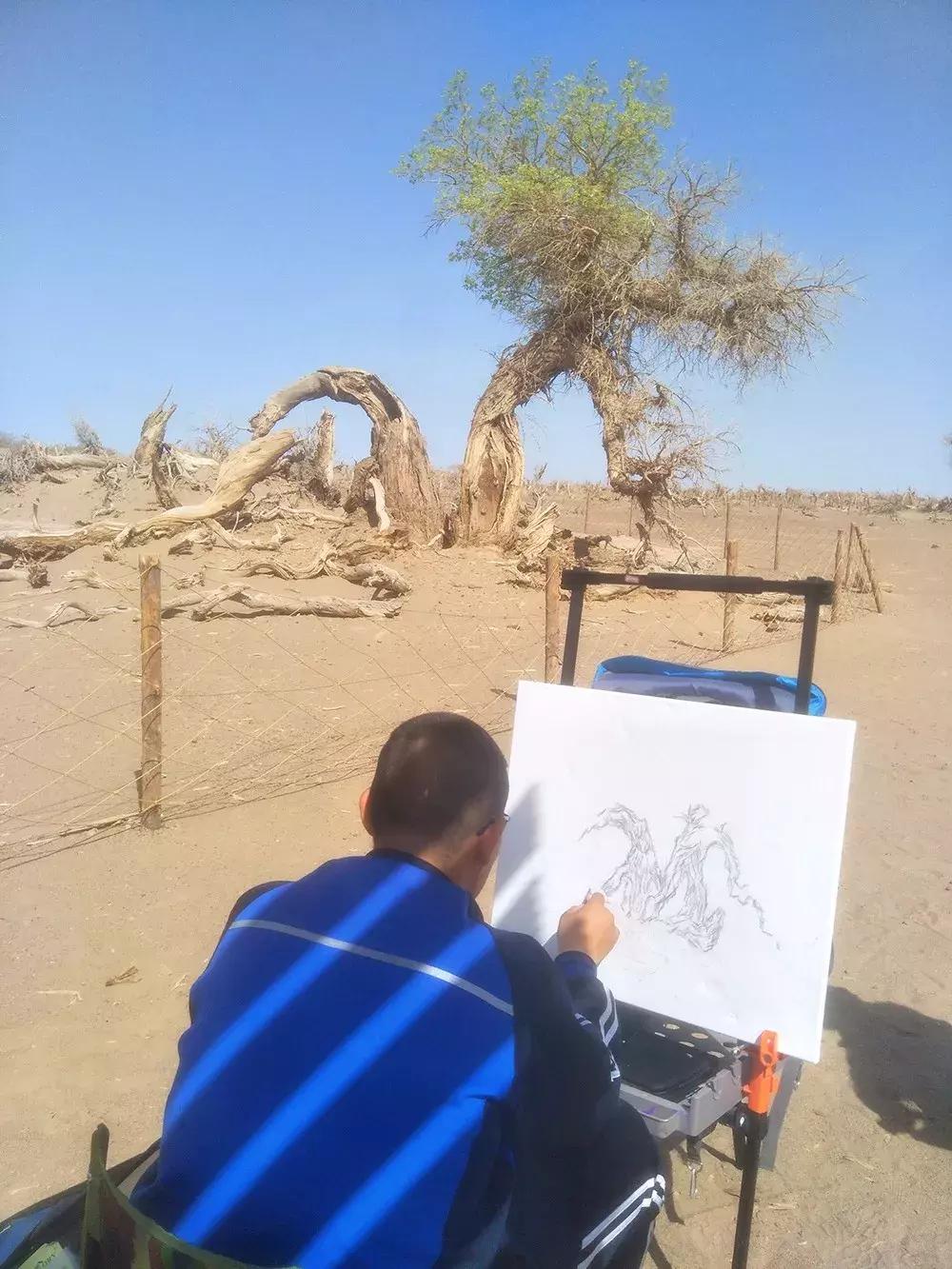 额济纳旅游自由行攻略,额济纳旗旅游最佳省钱攻略