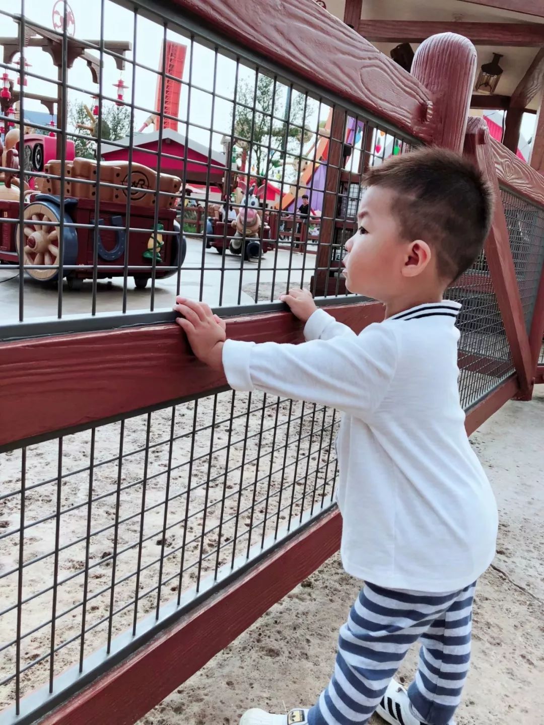 独自带2岁的娃怒刷了10次上海迪士尼，不听我听谁？