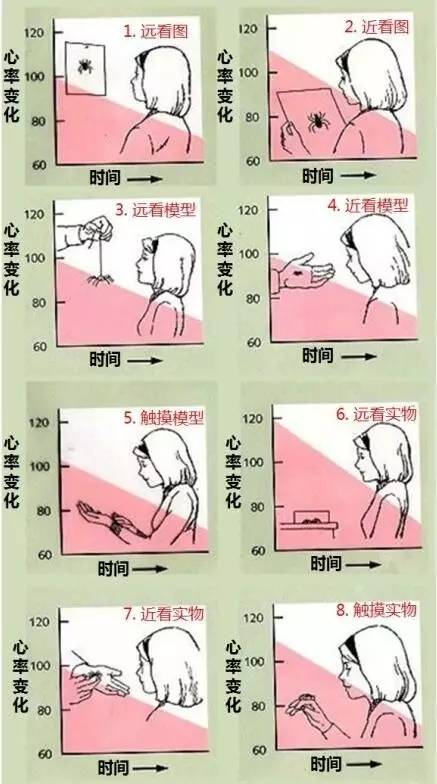 中医会做脱敏治疗吗,中医能治疗多疑症吗