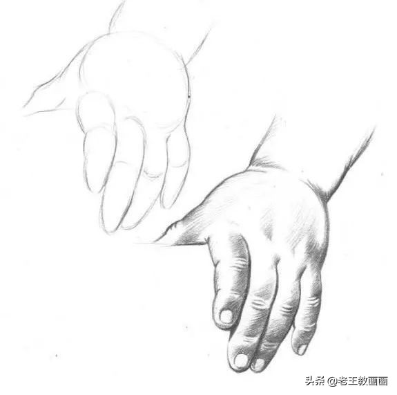 学画素描入门教程,学画人像素描应该先练会啥