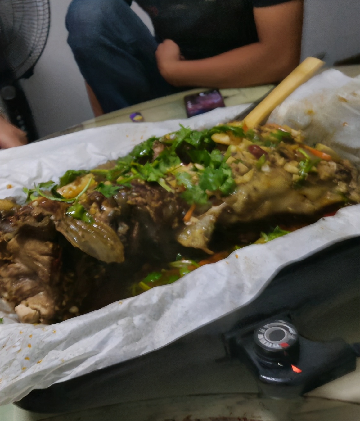 湖里出现大鱼视频,湖里惊现大鱼