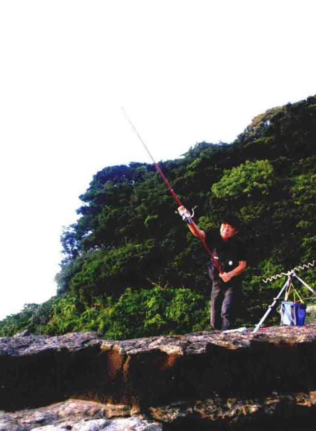 「日本专业海钓入门投钓书籍」熟练钓友投钓钓点海礁