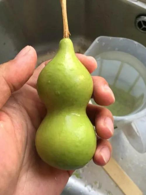 葫芦打皮的正确方法,葫芦打皮技巧视频