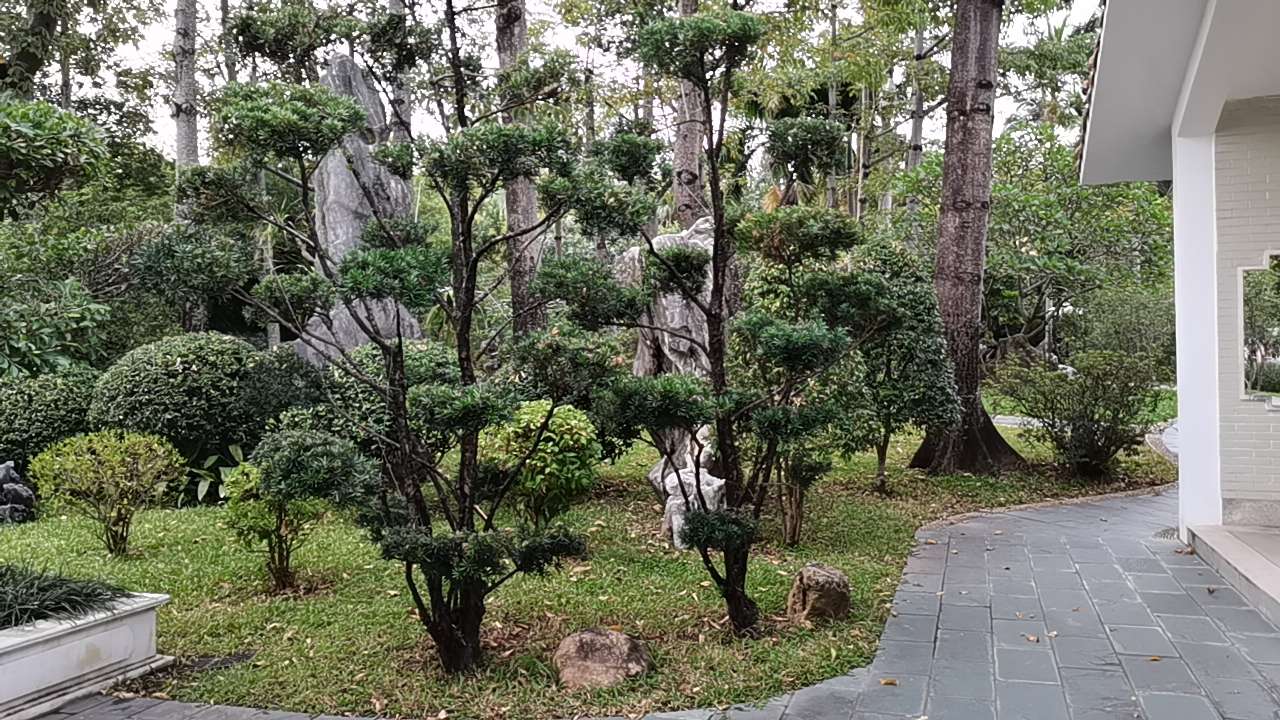 荔枝公园深圳,深圳第一公园荔枝公园