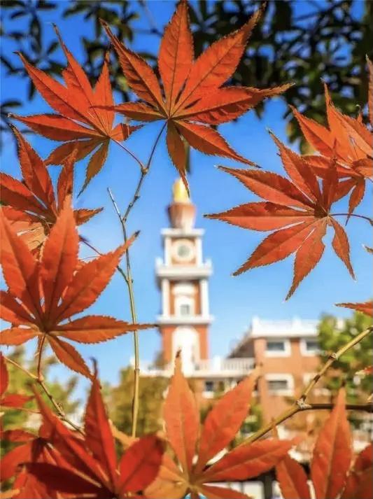 西安翻译学院优秀学生,西安翻译学院学生有多少人