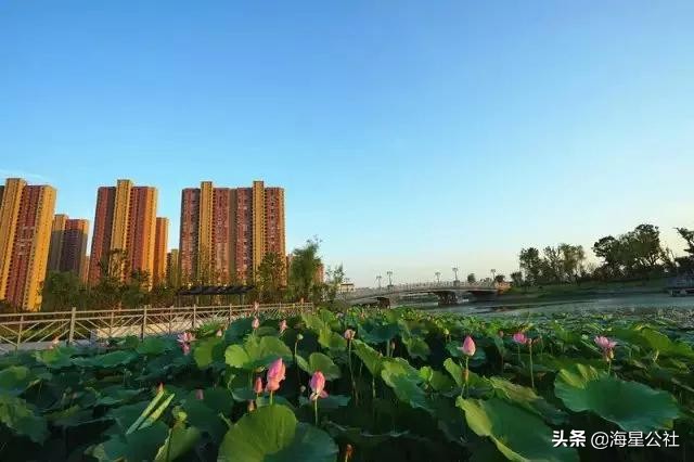 无锡这8大开放式公园高颜值,适合晨夕散步绿荫避暑