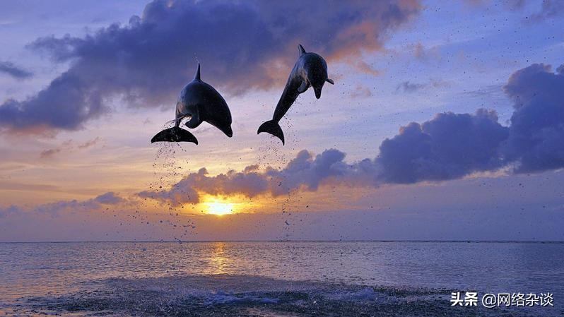 热门开店项目零成本创业,5000元白手起家创业项目互联网