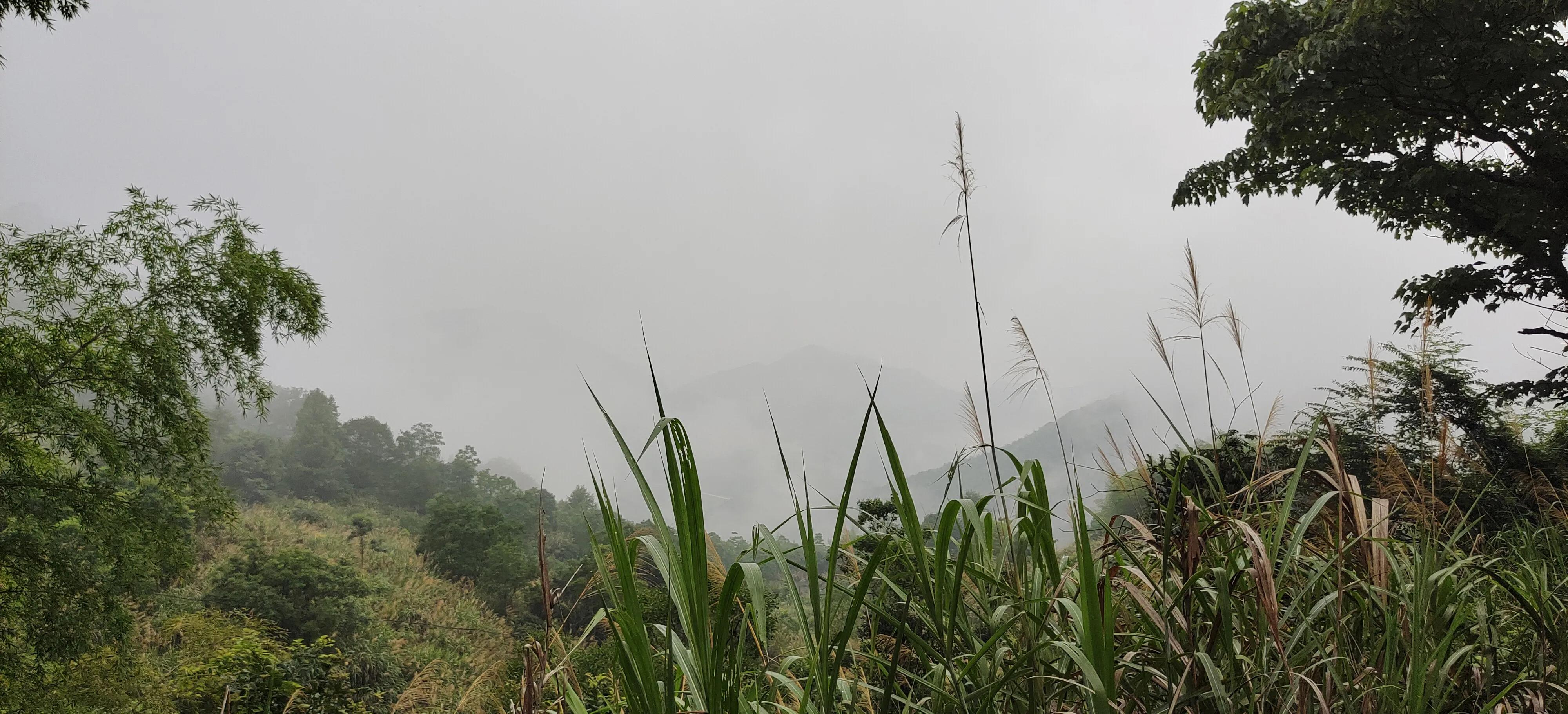 登上绝壁悬崖感受一览众山小,登上泰山之巅的感觉