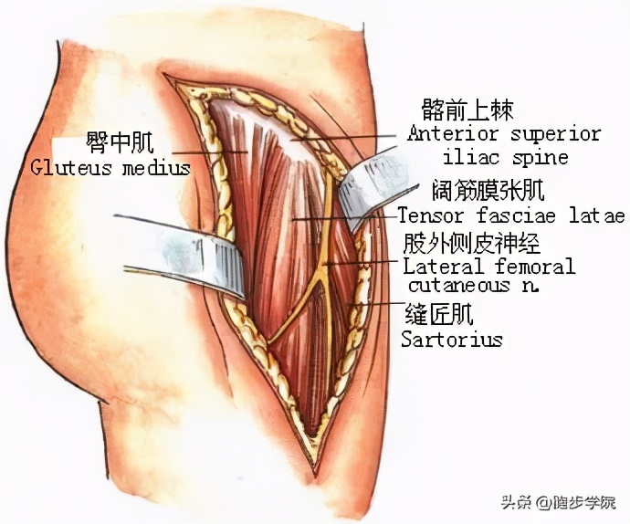 运动肩膀咔咔响是怎么回事,运动时关节咔咔响怎么解决