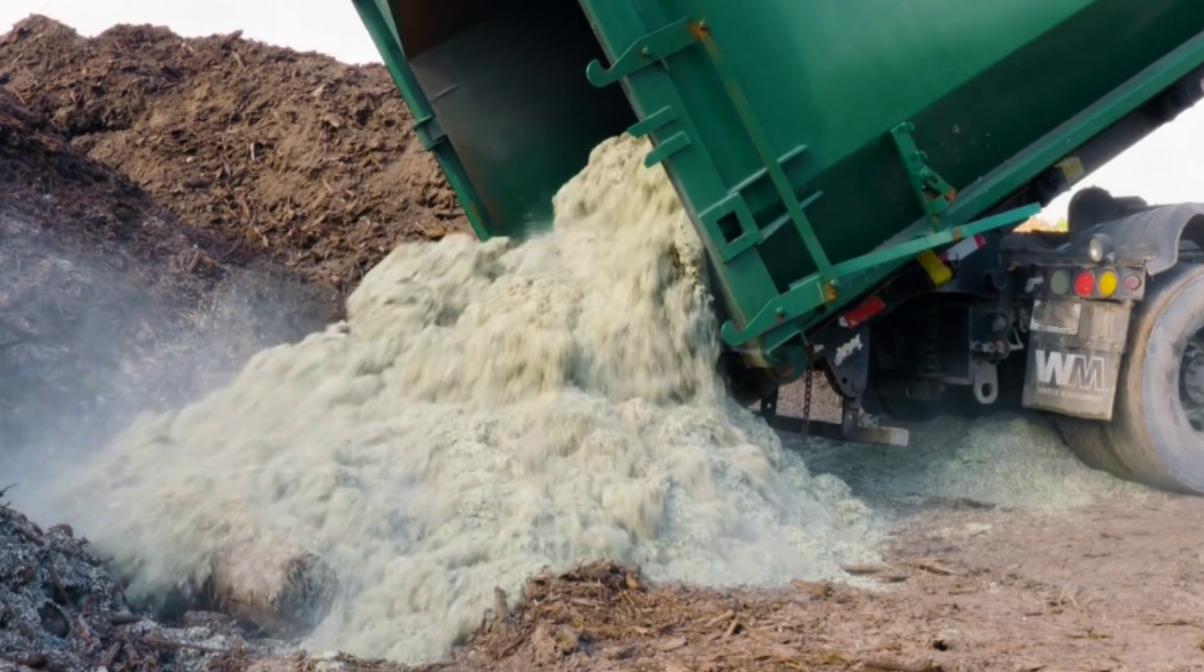 人民币破损多少可以全额兑换,破损人民币怎么兑换