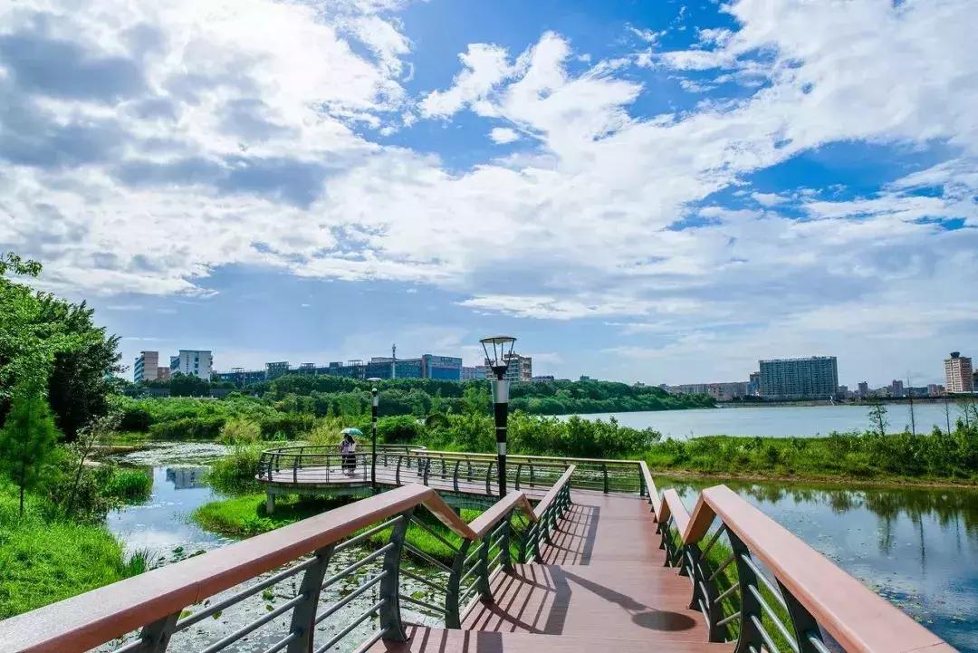 深圳5月哪里有花海看,深圳五一哪里可以看花海